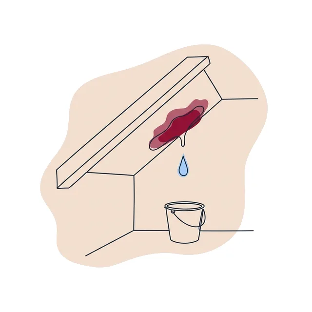 Plafond taché sous une toiture, une goutte qui tombe dans un seau